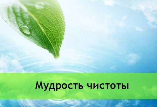 Мудрость чистоты